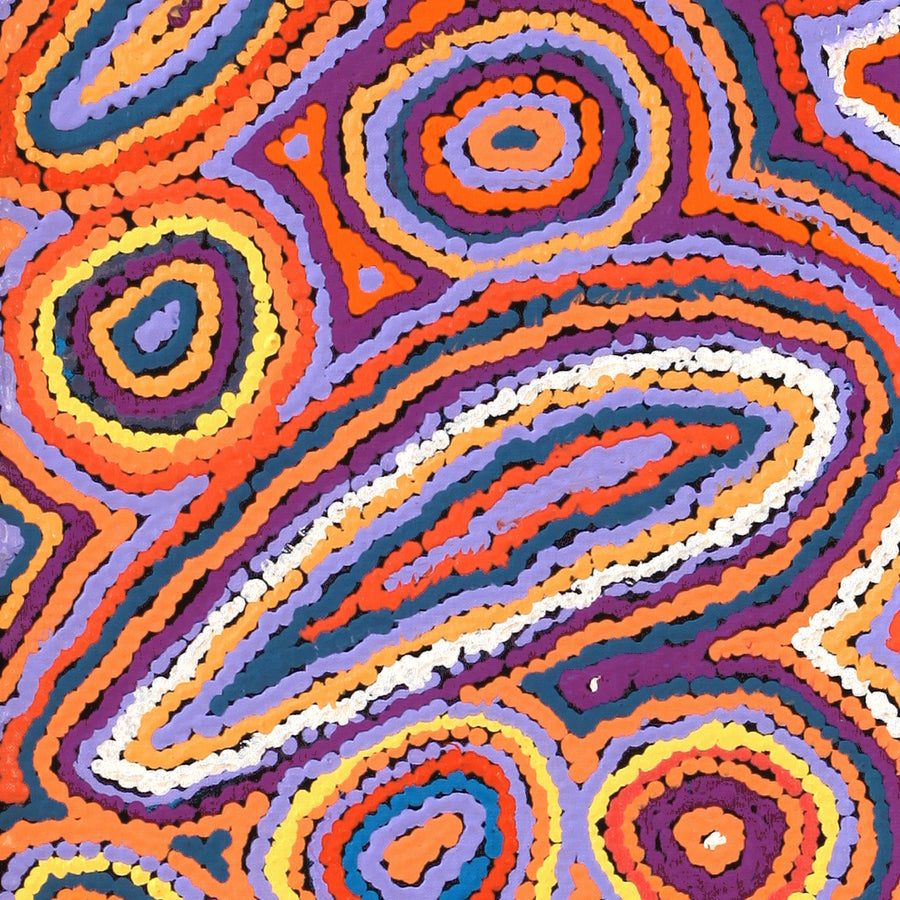 Aboriginal Artwork by Sarah Napaljarri Simms, Mina Mina Jukurrpa - Ngalyipi, 122x30cm