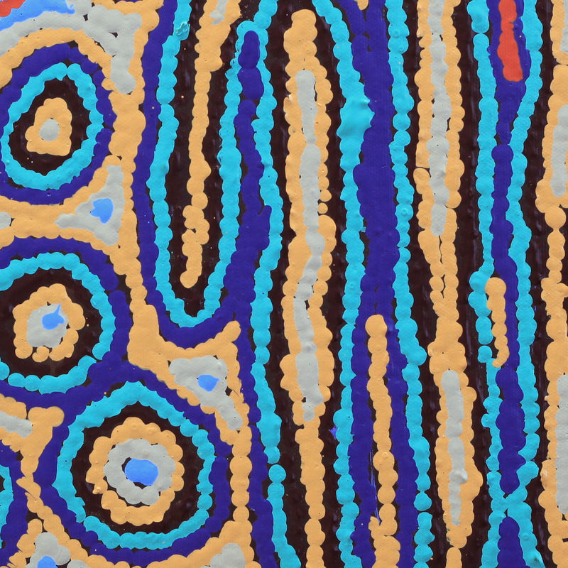 Aboriginal Artwork by Sarah Napaljarri Simms, Mina Mina Jukurrpa (Mina Mina Dreaming), 30x30cm