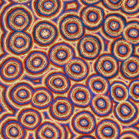 Aboriginal Artwork by Sarah Napaljarri Simms, Mina Mina Jukurrpa (Mina Mina Dreaming), 152x76cm