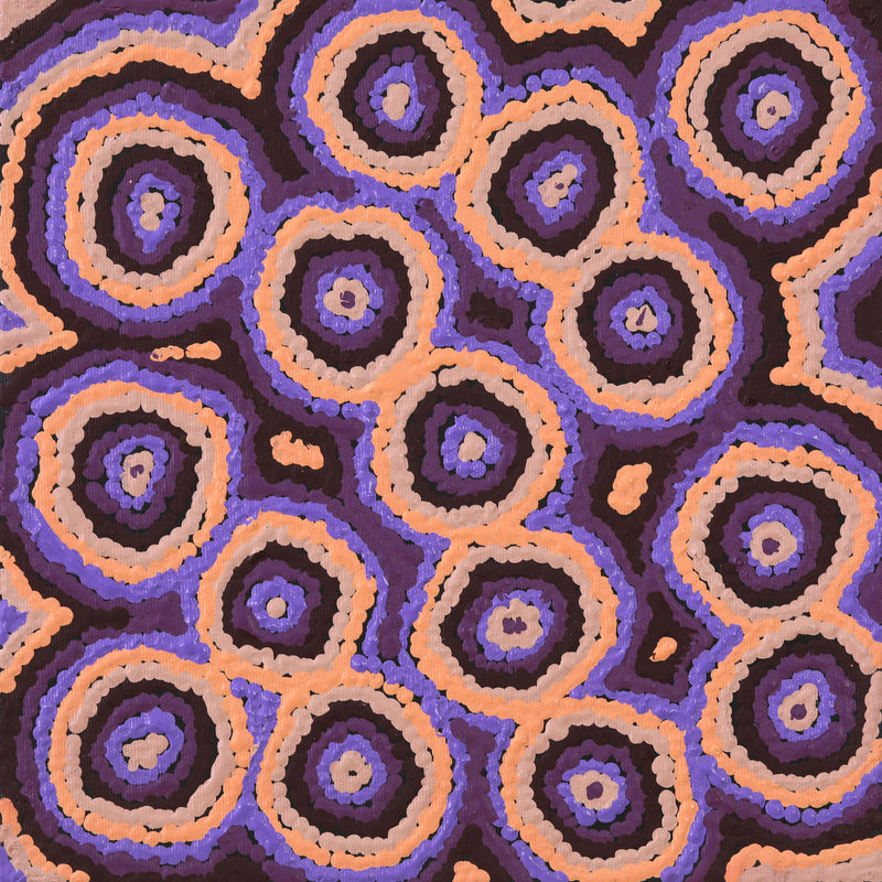 Aboriginal Artwork by Sarah Napaljarri Simms, Mina Mina Jukurrpa (Mina Mina Dreaming), 30x30cm