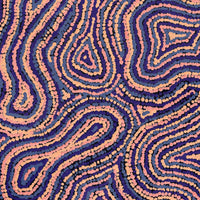 Aboriginal Artwork by Virginia Napaljarri Simms, Mina Mina Jukurrpa (Mina Mina Dreaming), 61x46cm