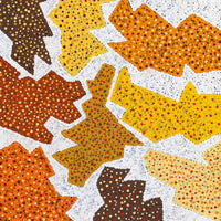 Aboriginal Artwork by Sarah-Jane Nampijinpa Singleton, Yankirri Jukurrpa (Emu Dreaming) - Ngarlikirlangu, 122x46cm