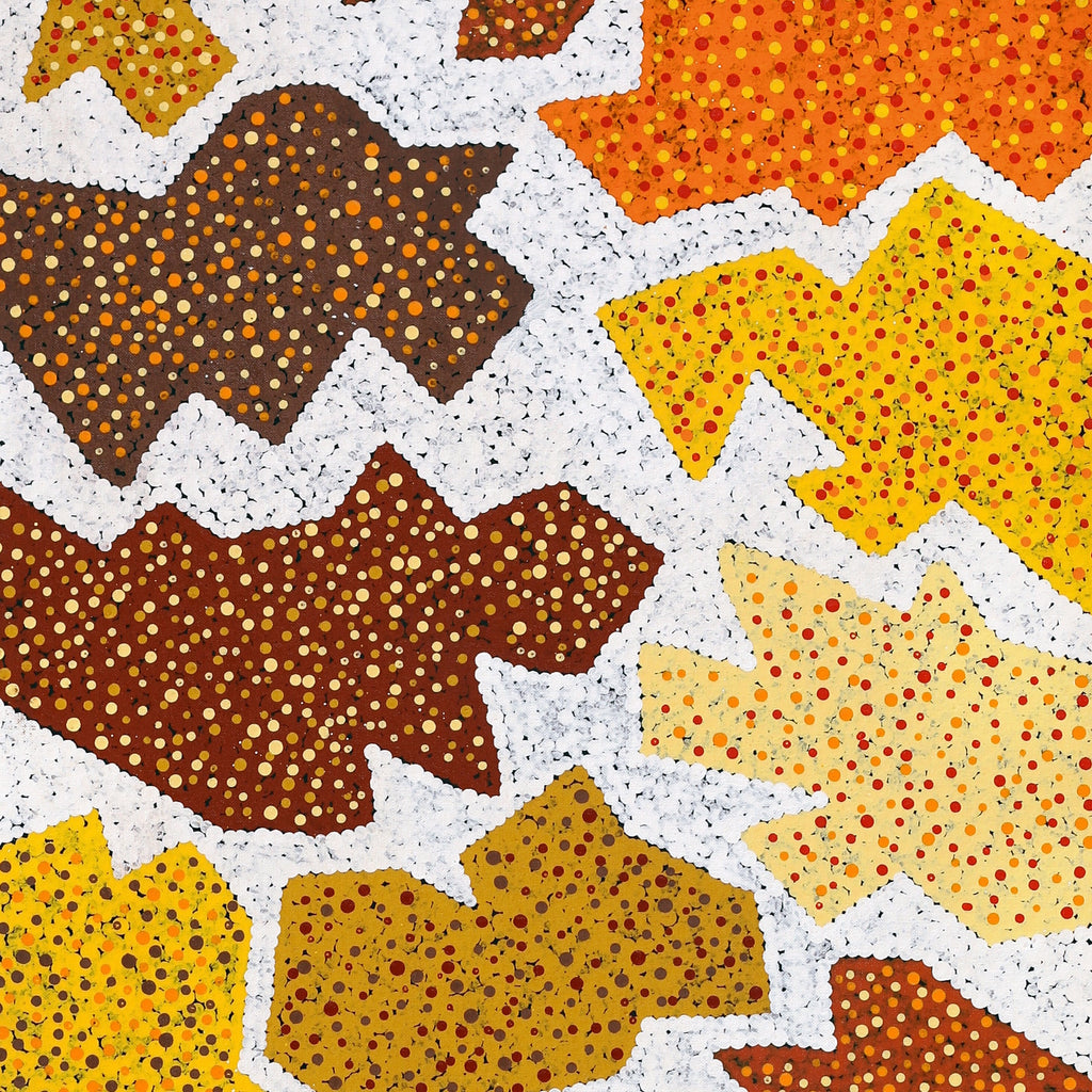 Aboriginal Artwork by Sarah-Jane Nampijinpa Singleton, Yankirri Jukurrpa (Emu Dreaming) - Ngarlikirlangu, 122x46cm