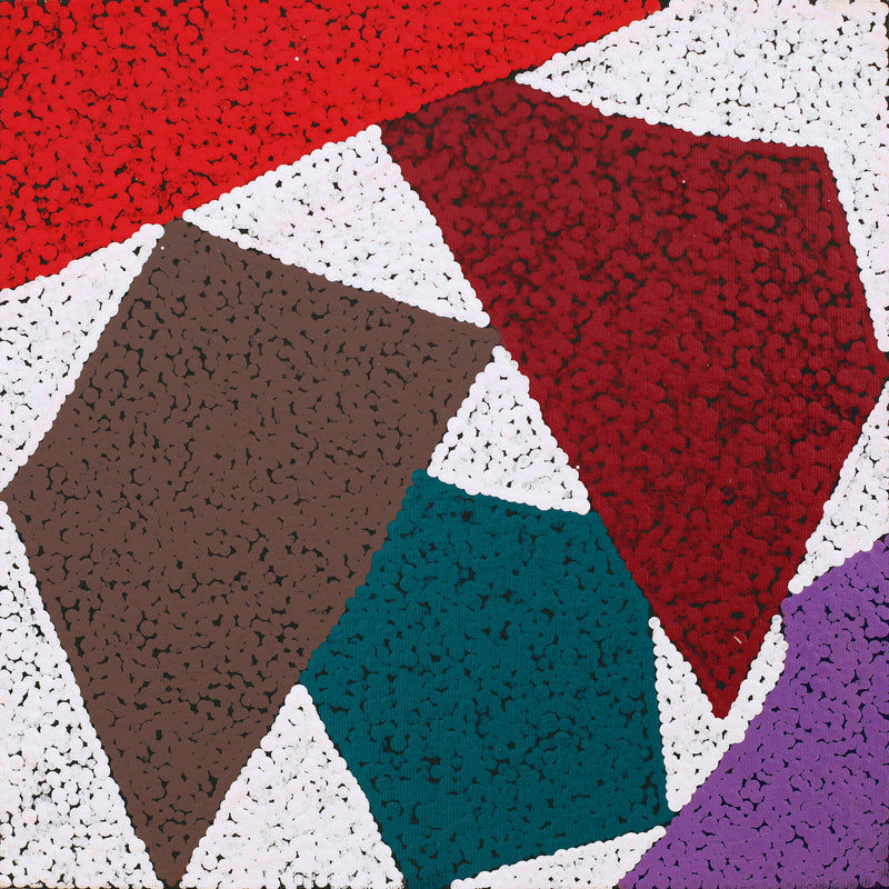 Aboriginal Artwork by Sarah-Jane Nampijinpa Singleton, Yankirri Jukurrpa (Emu Dreaming) - Ngarlikurlangu, 30x30cm