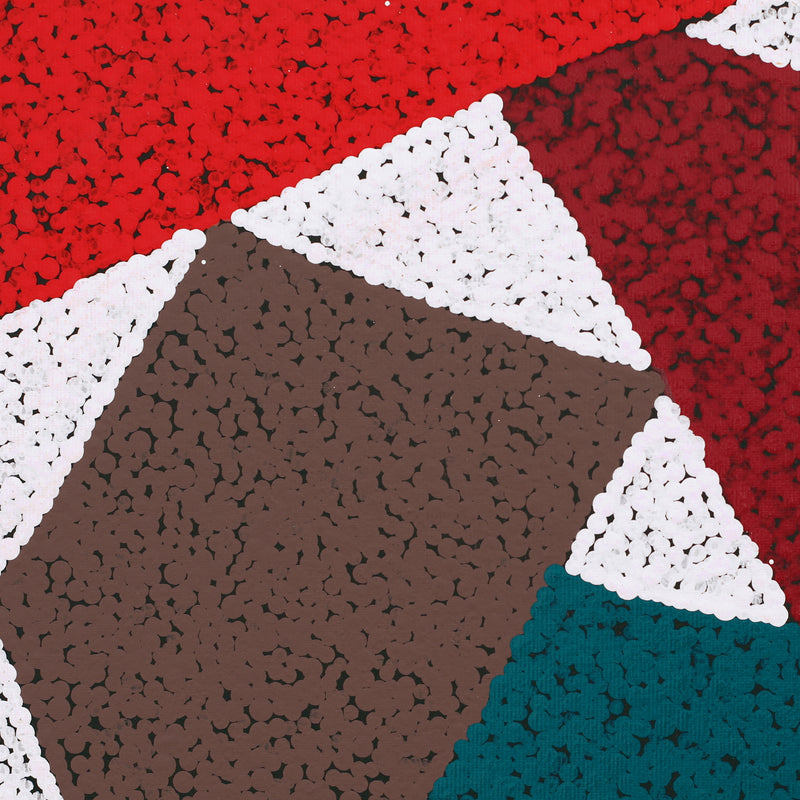 Aboriginal Artwork by Sarah-Jane Nampijinpa Singleton, Yankirri Jukurrpa (Emu Dreaming) - Ngarlikurlangu, 30x30cm