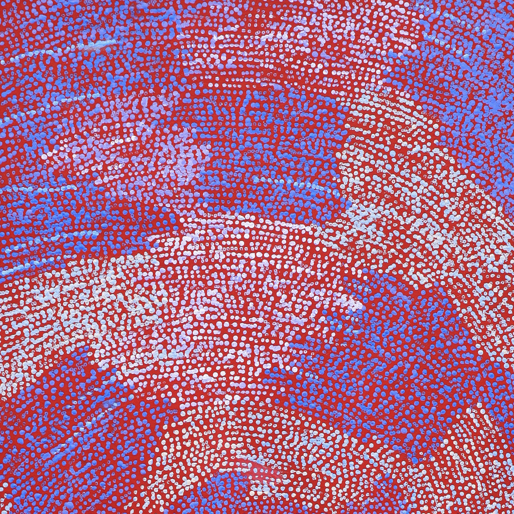 Aboriginal Artwork by Sarah Napurrurla Leo, Ngapa Jukurrpa (Water Dreaming), 107x46xcm