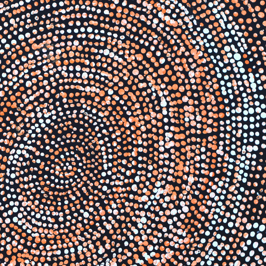 Aboriginal Artwork by Sarah Napurrurla Leo, Ngapa Jukurrpa (Water Dreaming), 30x30cm