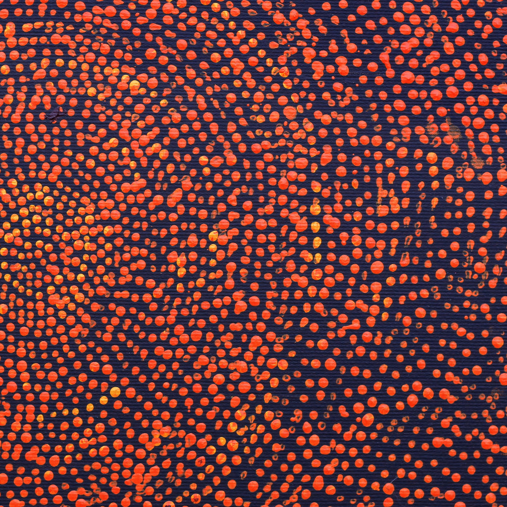 Aboriginal Artwork by Sarah Napurrurla Leo, Ngapa Jukurrpa (Water Dreaming), 30x30cm