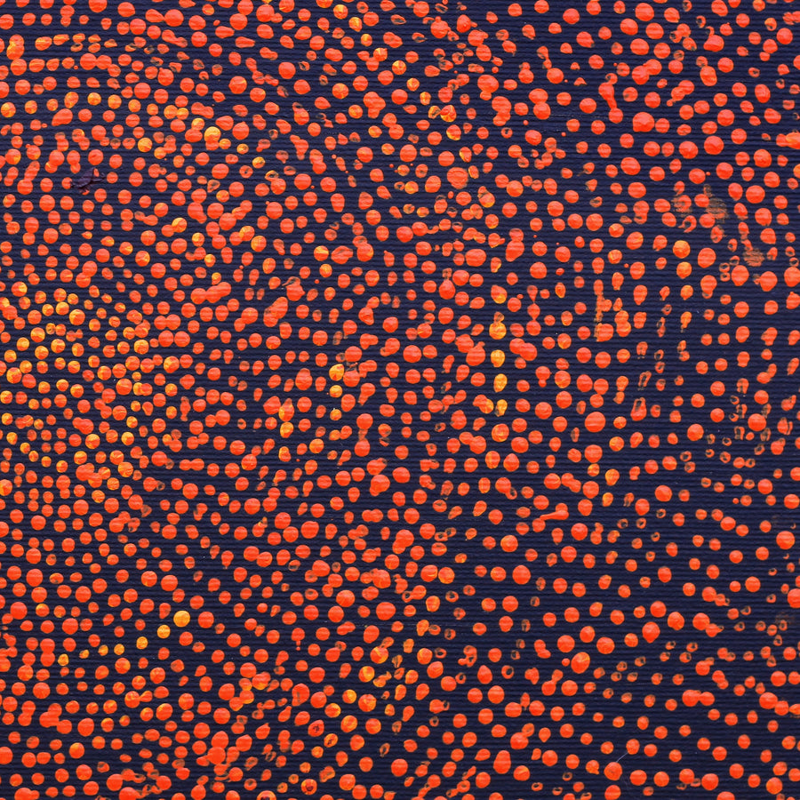 Aboriginal Artwork by Sarah Napurrurla Leo, Ngapa Jukurrpa (Water Dreaming), 30x30cm