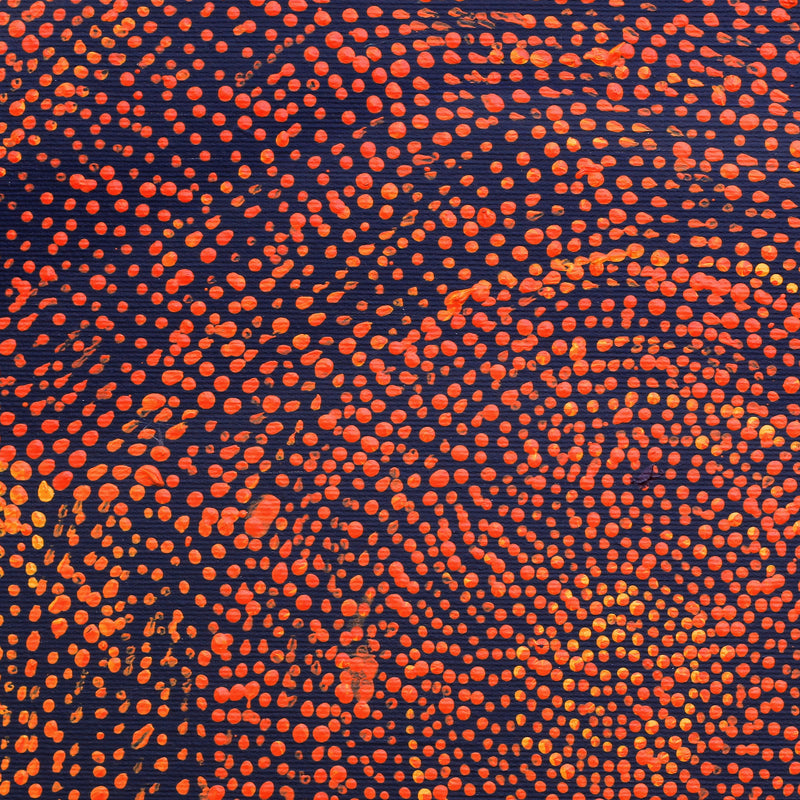 Aboriginal Artwork by Sarah Napurrurla Leo, Ngapa Jukurrpa (Water Dreaming), 30x30cm