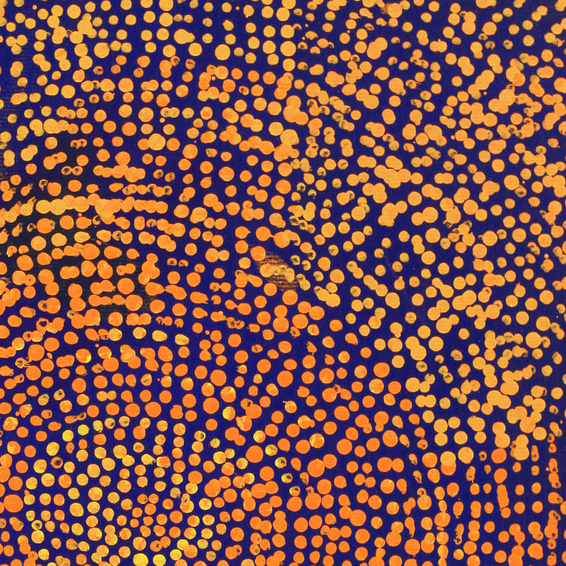Aboriginal Artwork by Sarah Napurrurla Leo, Ngapa Jukurrpa (Water Dreaming), 30x30cm