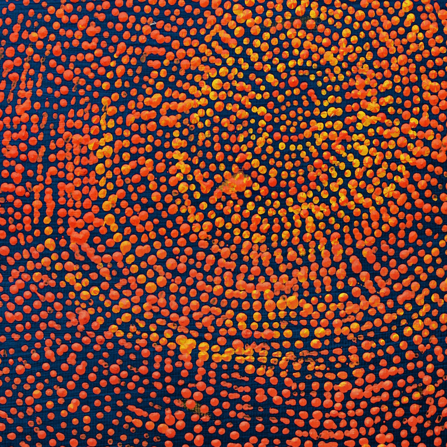 Aboriginal Artwork by Sarah Napurrurla Leo, Ngapa Jukurrpa (Water Dreaming), 30x30cm
