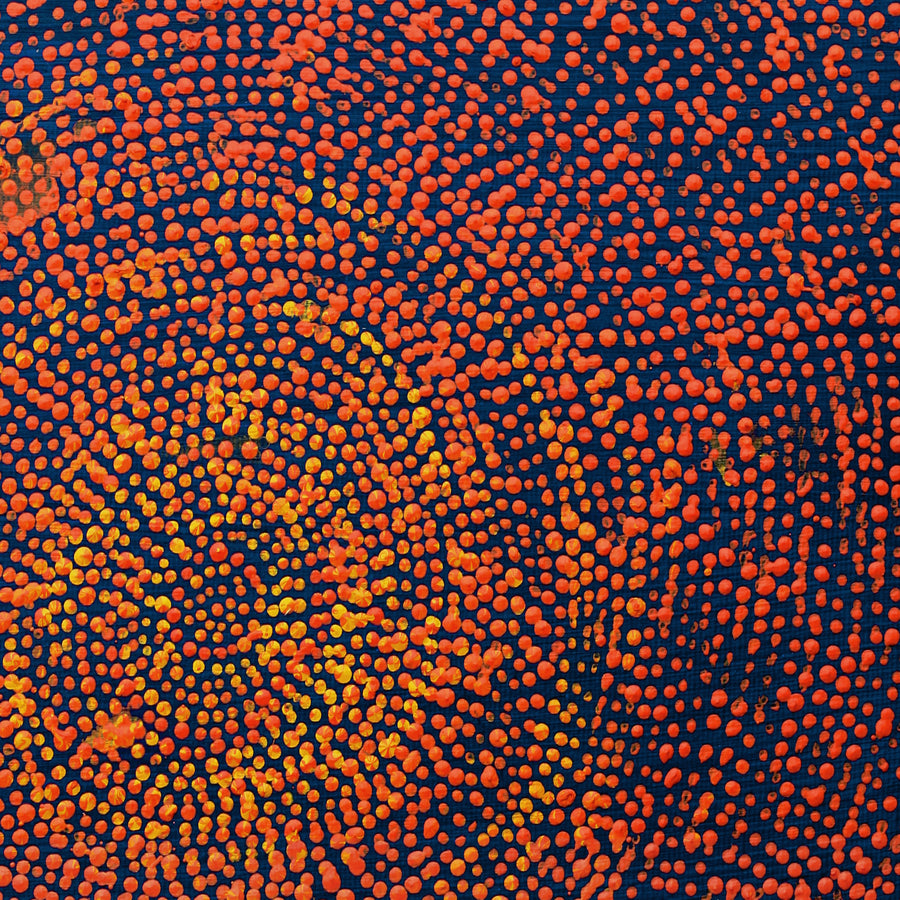 Aboriginal Artwork by Sarah Napurrurla Leo, Ngapa Jukurrpa (Water Dreaming), 30x30cm