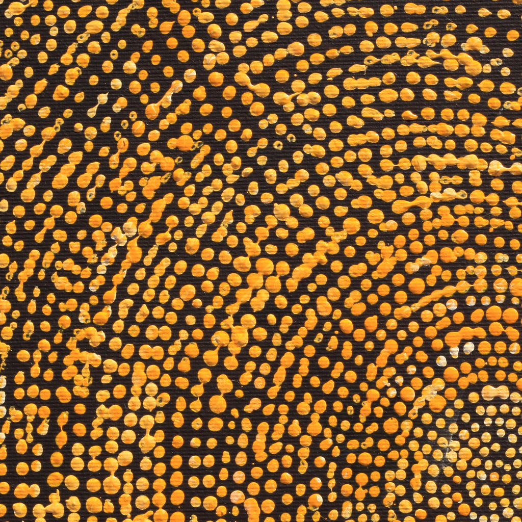 Aboriginal Artwork by Sarah Napurrurla Leo, Ngapa Jukurrpa (Water Dreaming), 30x30cm