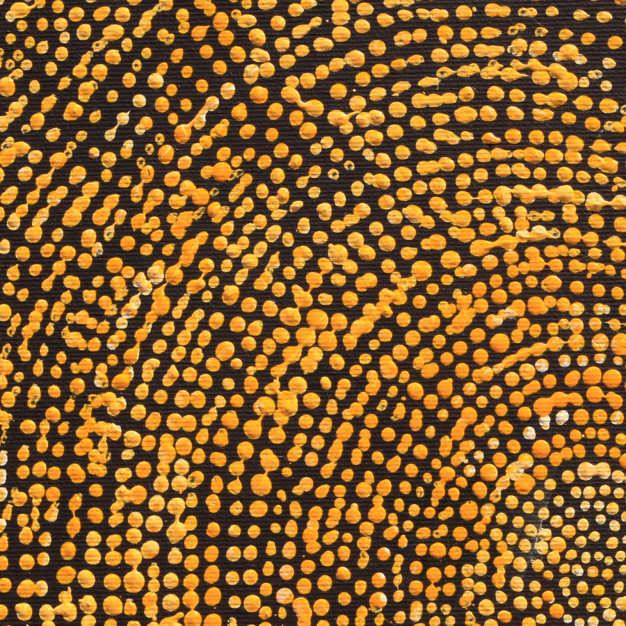 Aboriginal Artwork by Sarah Napurrurla Leo, Ngapa Jukurrpa (Water Dreaming), 30x30cm