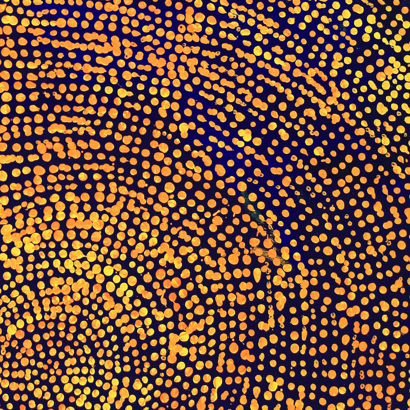 Aboriginal Artwork by Sarah Napurrurla Leo, Ngapa Jukurrpa (Water Dreaming), 30x30cm