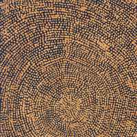 Aboriginal Artwork by Sarah Napurrurla Leo, Ngapa Jukurrpa (Water Dreaming), 30x30cm