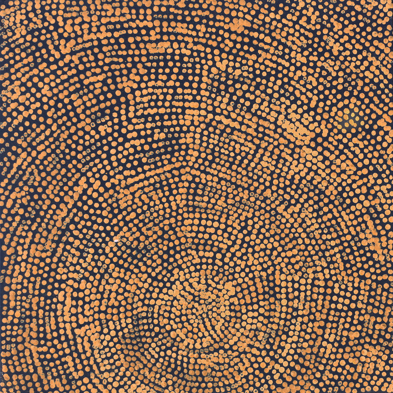Aboriginal Artwork by Sarah Napurrurla Leo, Ngapa Jukurrpa (Water Dreaming), 30x30cm