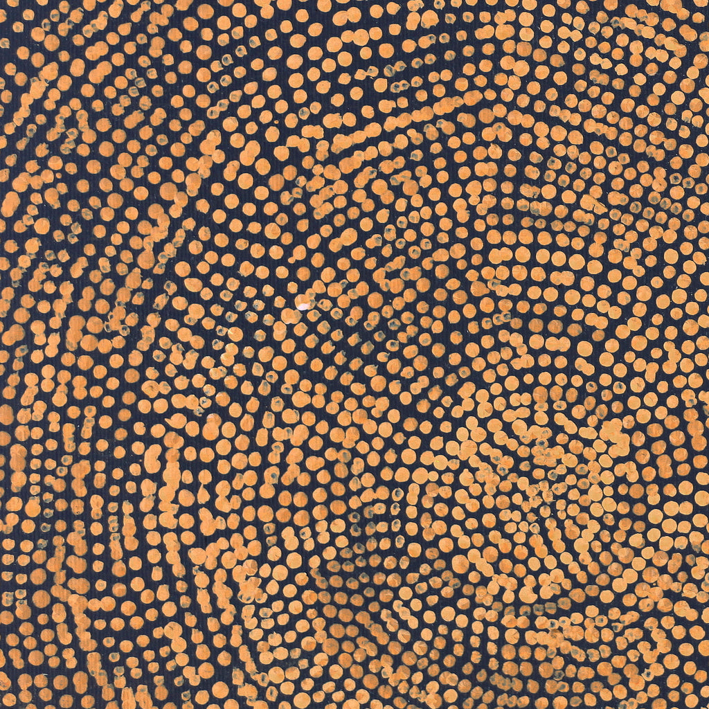 Aboriginal Artwork by Sarah Napurrurla Leo, Ngapa Jukurrpa (Water Dreaming), 30x30cm