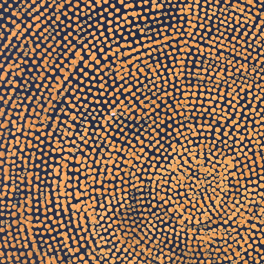 Aboriginal Artwork by Sarah Napurrurla Leo, Ngapa Jukurrpa (Water Dreaming), 30x30cm