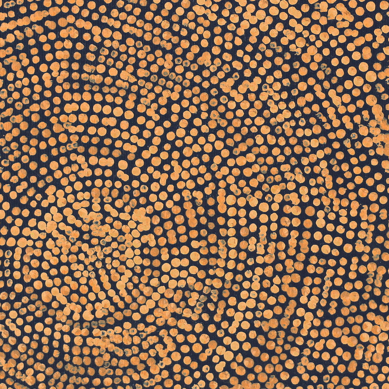 Aboriginal Artwork by Sarah Napurrurla Leo, Ngapa Jukurrpa (Water Dreaming), 30x30cm