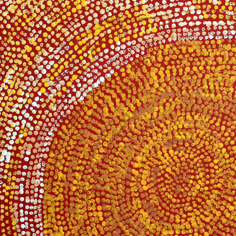 Aboriginal Artwork by Sarah Napurrurla Leo, Ngapa Jukurrpa (Water Dreaming), 30x30cm