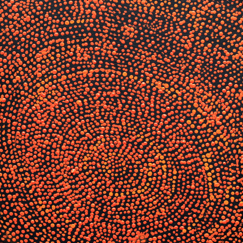 Aboriginal Artwork by Sarah Napurrurla Leo, Ngapa Jukurrpa (Water Dreaming), 30x30cm