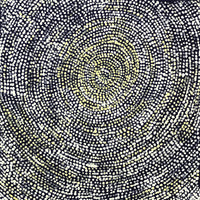Aboriginal Artwork by Sarah Napurrurla Leo, Ngapa Jukurrpa (Water Dreaming), 30x30cm