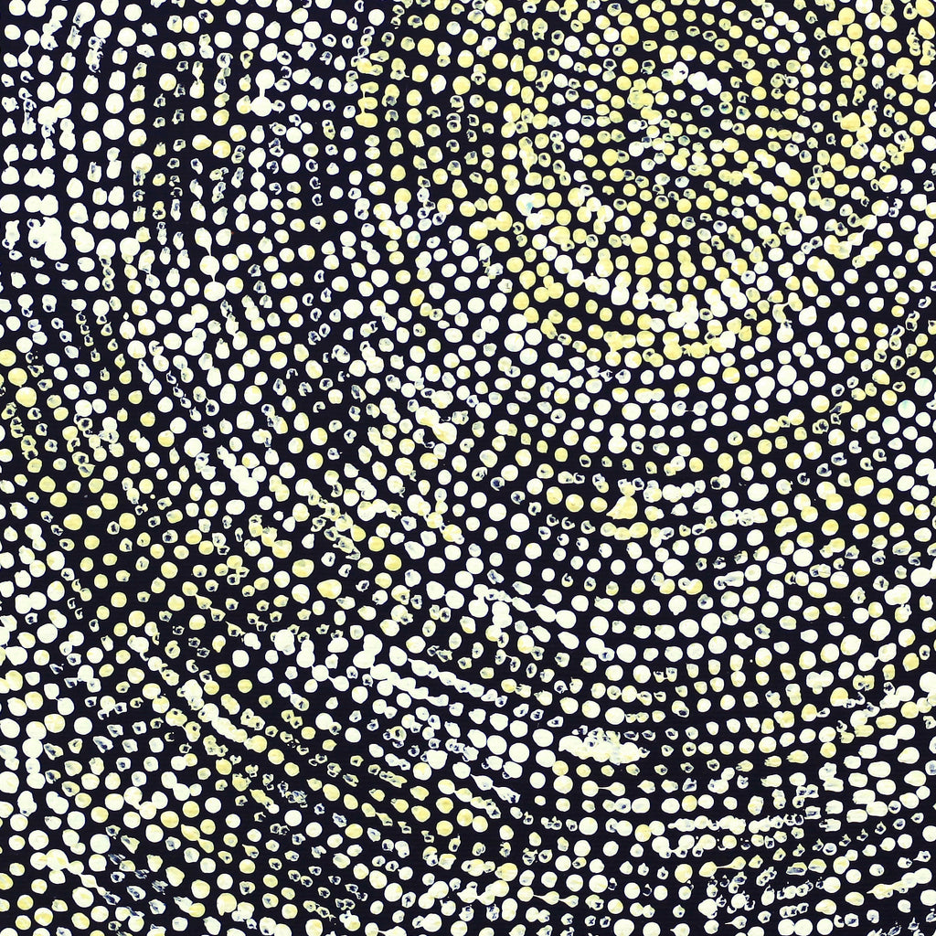 Aboriginal Artwork by Sarah Napurrurla Leo, Ngapa Jukurrpa (Water Dreaming), 30x30cm