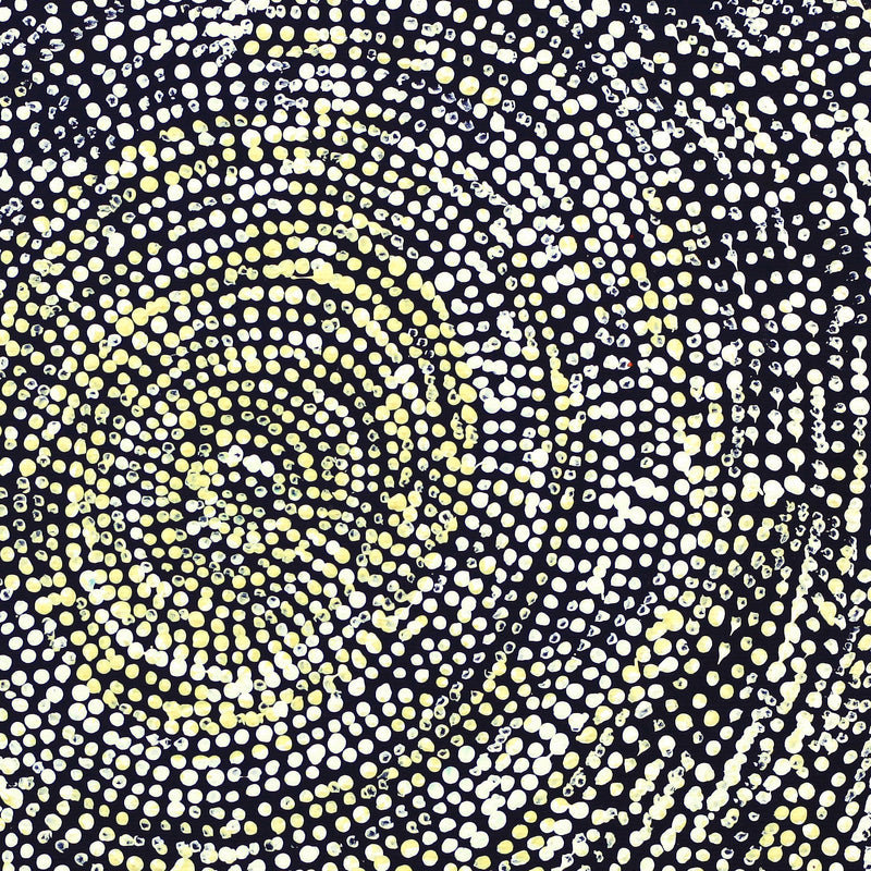 Aboriginal Artwork by Sarah Napurrurla Leo, Ngapa Jukurrpa (Water Dreaming), 30x30cm
