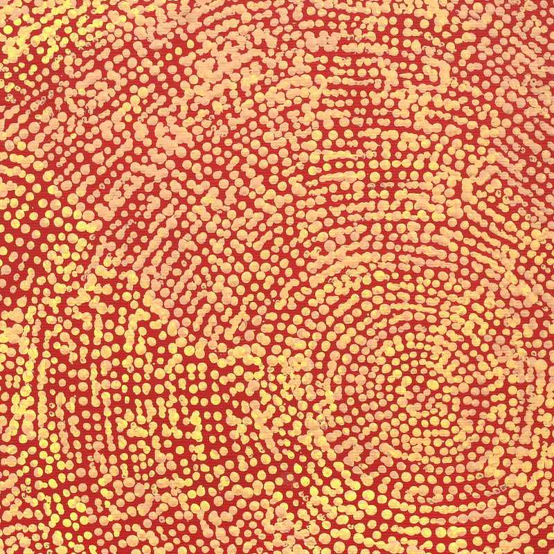 Aboriginal Artwork by Sarah Napurrurla Leo, Ngapa Jukurrpa (Water Dreaming), 30x30cm