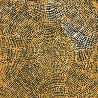Aboriginal Artwork by Sarah Napurrurla Leo, Ngapa Jukurrpa (Water Dreaming), 30x30cm