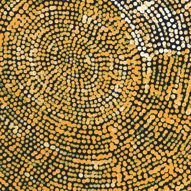 Aboriginal Artwork by Sarah Napurrurla Leo, Ngapa Jukurrpa (Water Dreaming), 30x30cm