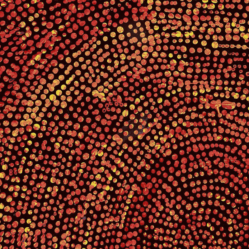 Aboriginal Artwork by Sarah Napurrurla Leo, Ngapa Jukurrpa (Water Dreaming), 30x30cm
