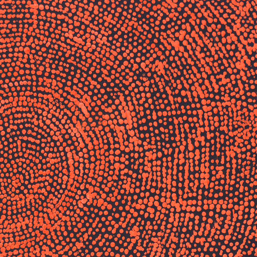 Aboriginal Artwork by Sarah Napurrurla Leo, Ngapa Jukurrpa (Water Dreaming), 30x30cm