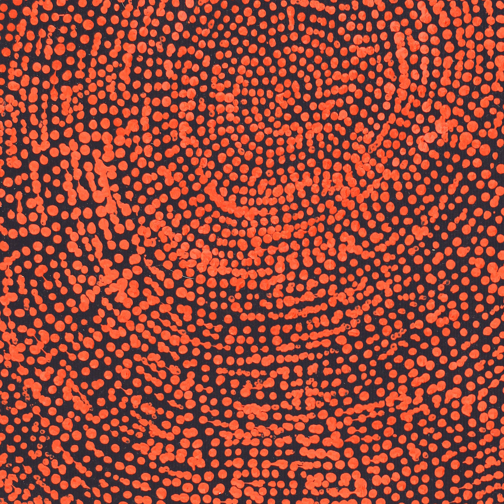 Aboriginal Artwork by Sarah Napurrurla Leo, Ngapa Jukurrpa (Water Dreaming), 30x30cm
