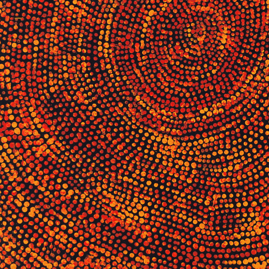 Aboriginal Artwork by Sarah Napurrurla Leo, Ngapa Jukurrpa (Water Dreaming), 30x30cm