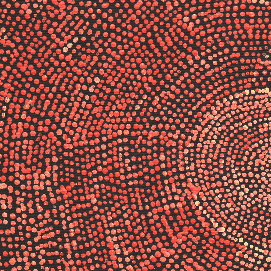 Aboriginal Artwork by Sarah Napurrurla Leo, Ngapa Jukurrpa (Water Dreaming), 30x30cm