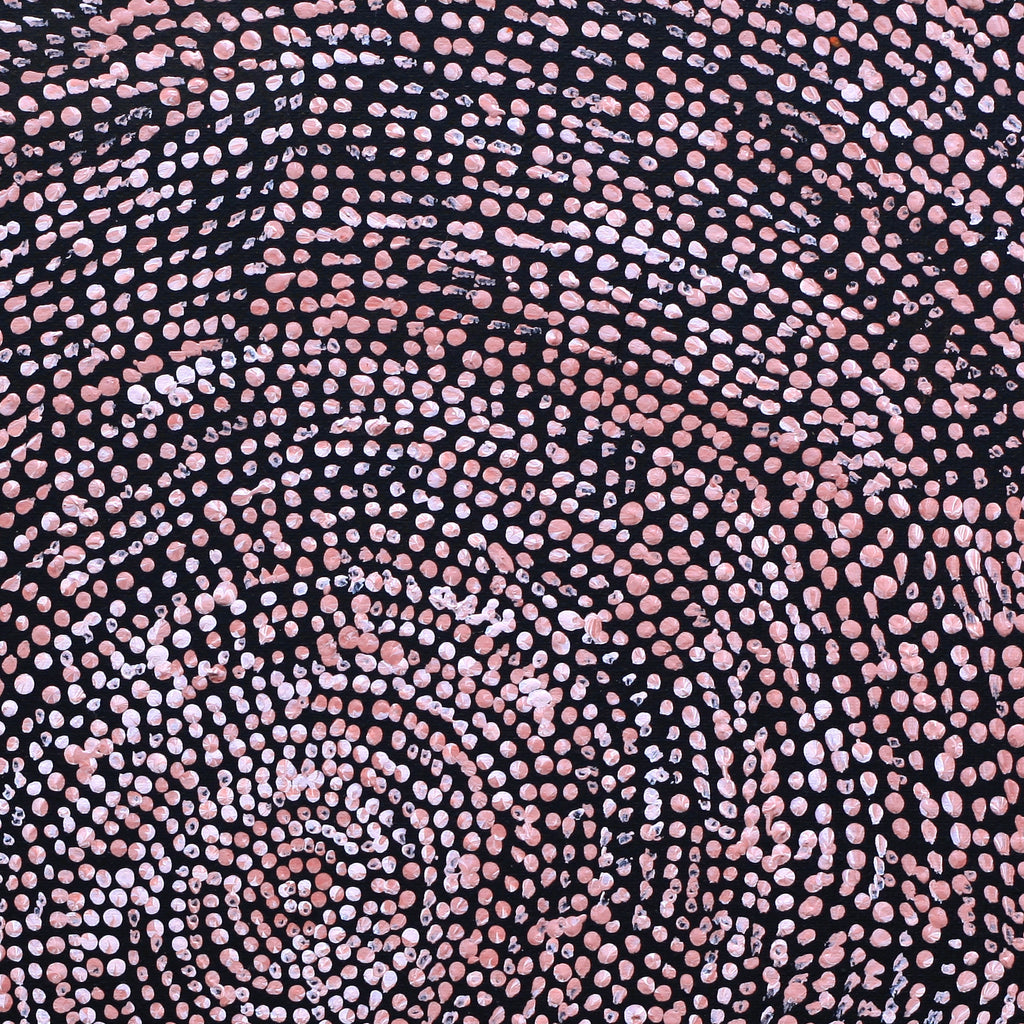 Aboriginal Artwork by Sarah Napurrurla Leo, Ngapa Jukurrpa (Water Dreaming), 30x30cm