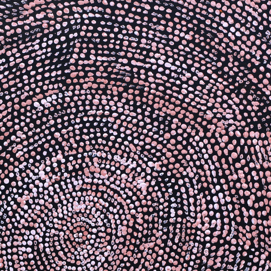 Aboriginal Artwork by Sarah Napurrurla Leo, Ngapa Jukurrpa (Water Dreaming), 30x30cm