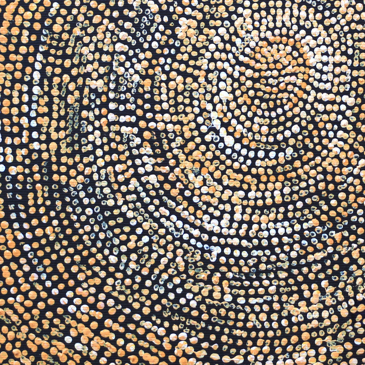 Aboriginal Artwork by Sarah Napurrurla Leo, Ngapa Jukurrpa (Water Dreaming), 30x30cm