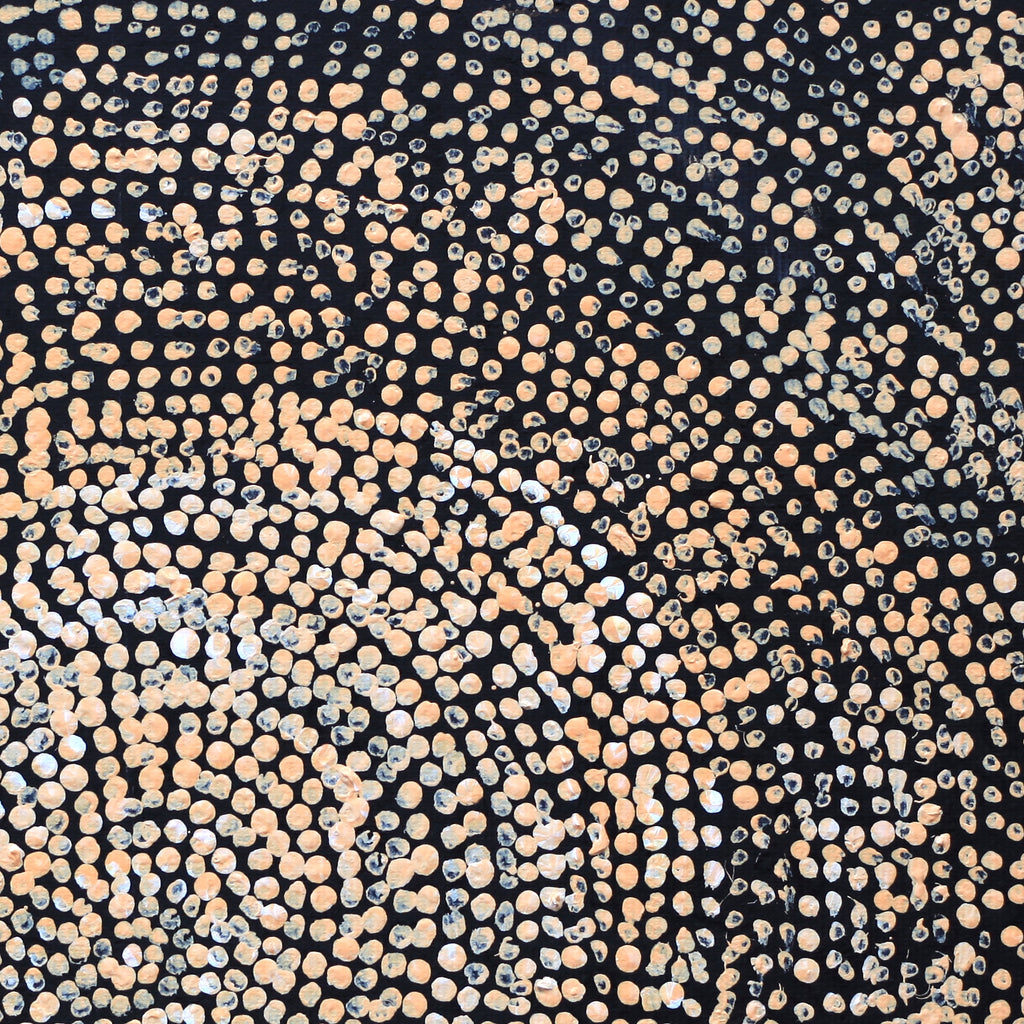Aboriginal Artwork by Sarah Napurrurla Leo, Ngapa Jukurrpa (Water Dreaming), 30x30cm