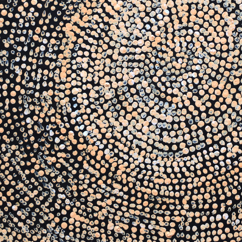 Aboriginal Artwork by Sarah Napurrurla Leo, Ngapa Jukurrpa (Water Dreaming), 30x30cm