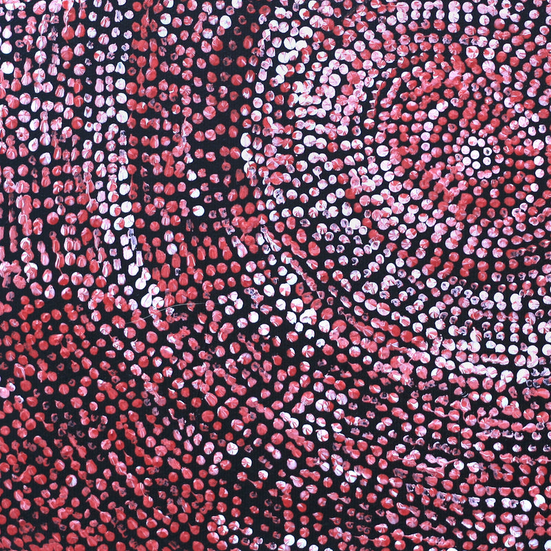 Aboriginal Artwork by Sarah Napurrurla Leo, Ngapa Jukurrpa (Water Dreaming), 30x30cm