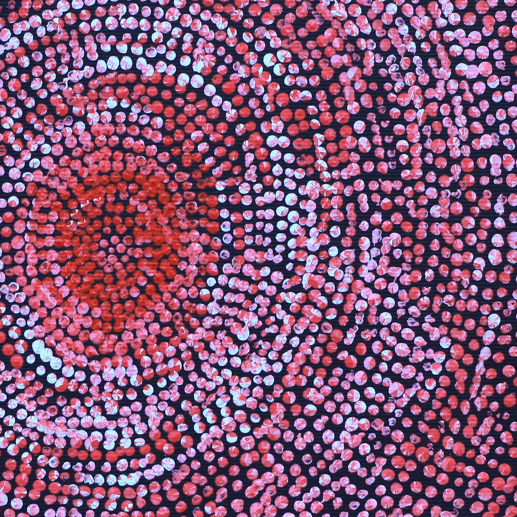 Aboriginal Artwork by Sarah Napurrurla Leo, Ngapa Jukurrpa (Water Dreaming), 30x30cm