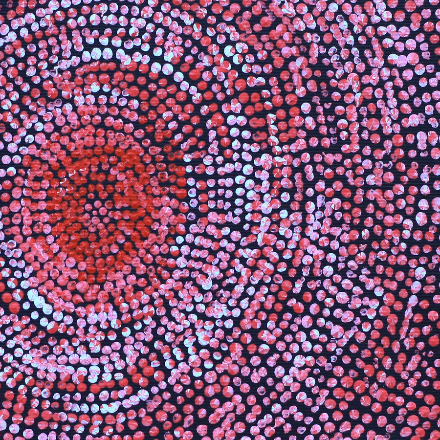 Aboriginal Artwork by Sarah Napurrurla Leo, Ngapa Jukurrpa (Water Dreaming), 30x30cm