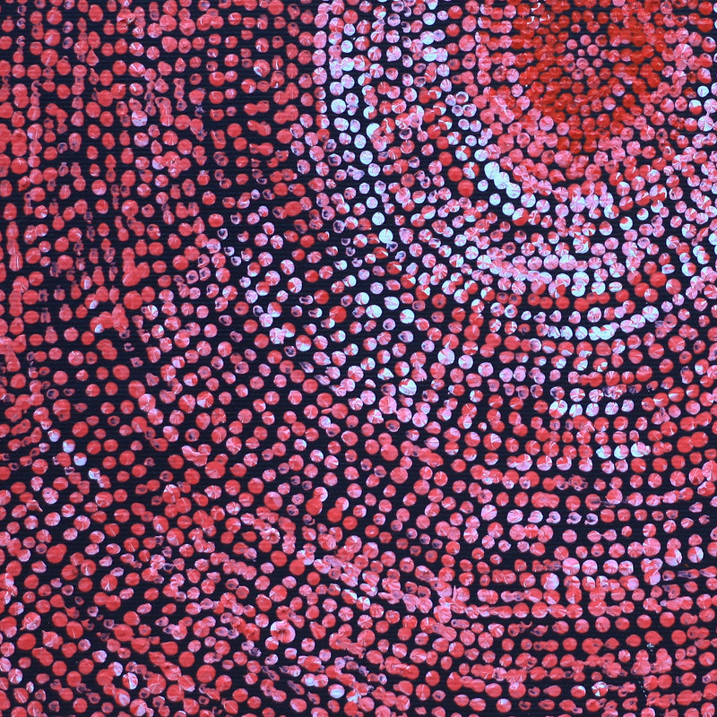 Aboriginal Artwork by Sarah Napurrurla Leo, Ngapa Jukurrpa (Water Dreaming), 30x30cm