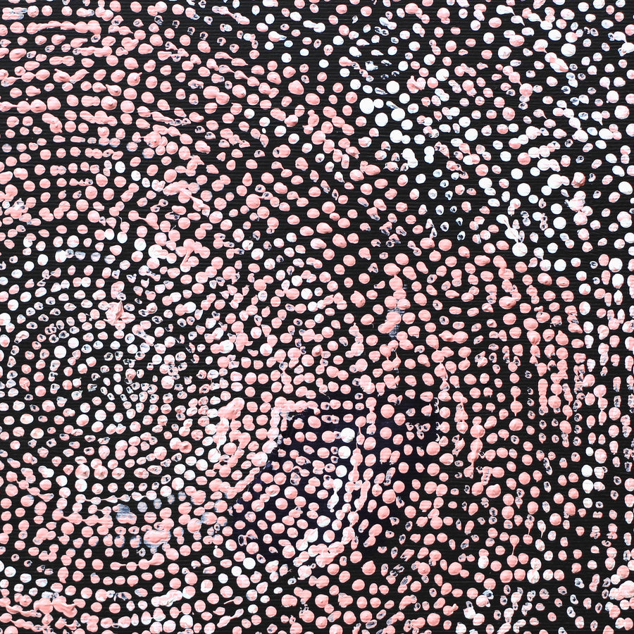 Aboriginal Artwork by Sarah Napurrurla Leo, Ngapa Jukurrpa (Water Dreaming), 30x30cm