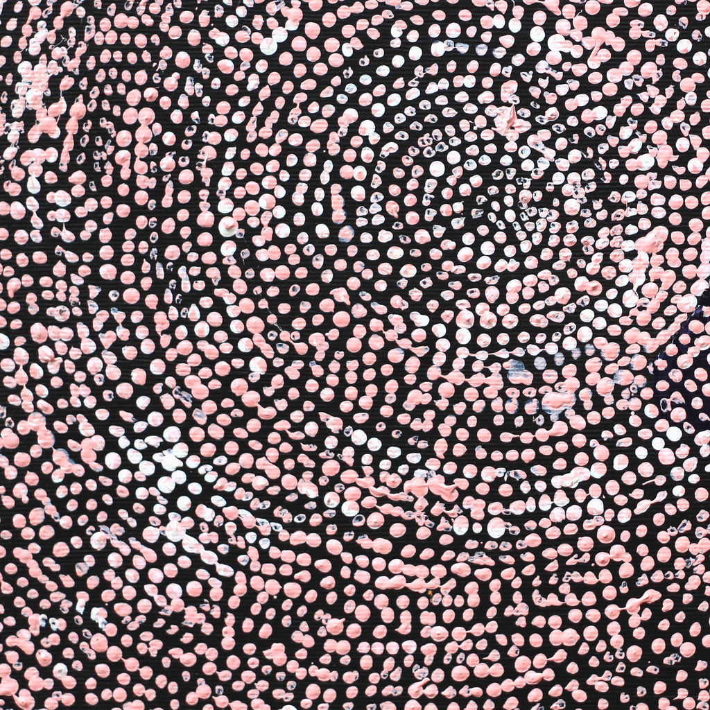 Aboriginal Artwork by Sarah Napurrurla Leo, Ngapa Jukurrpa (Water Dreaming), 30x30cm