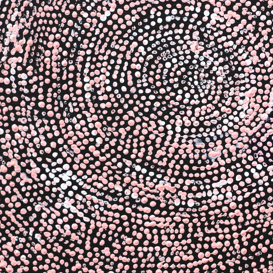 Aboriginal Artwork by Sarah Napurrurla Leo, Ngapa Jukurrpa (Water Dreaming), 30x30cm
